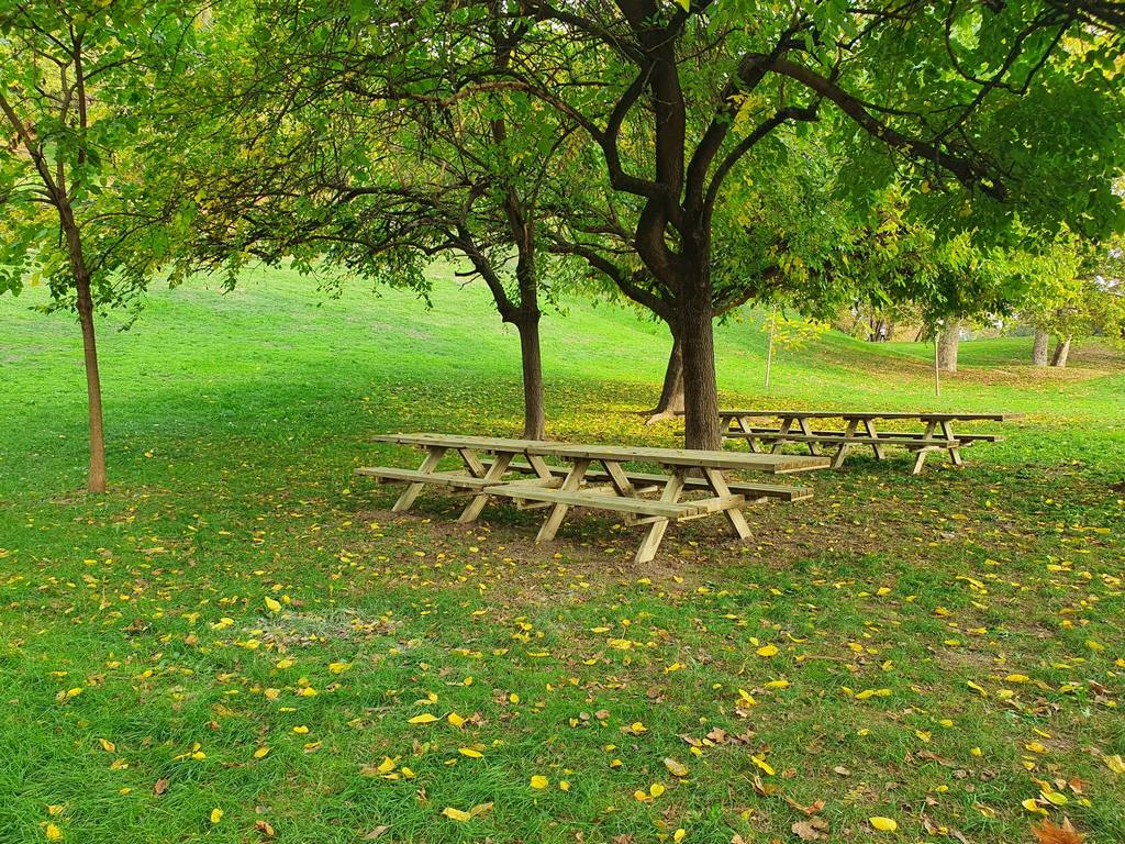 picnic inclusivo in legno pino impregnato1 parco lambro milano