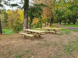 Inclusive PIC NIC Table