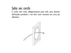 Salto nei cerchi Agility Dog in Strongplast