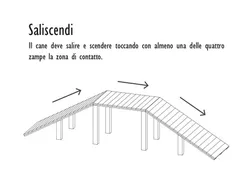 gility Dog Saliscendi in STRONGPLAST